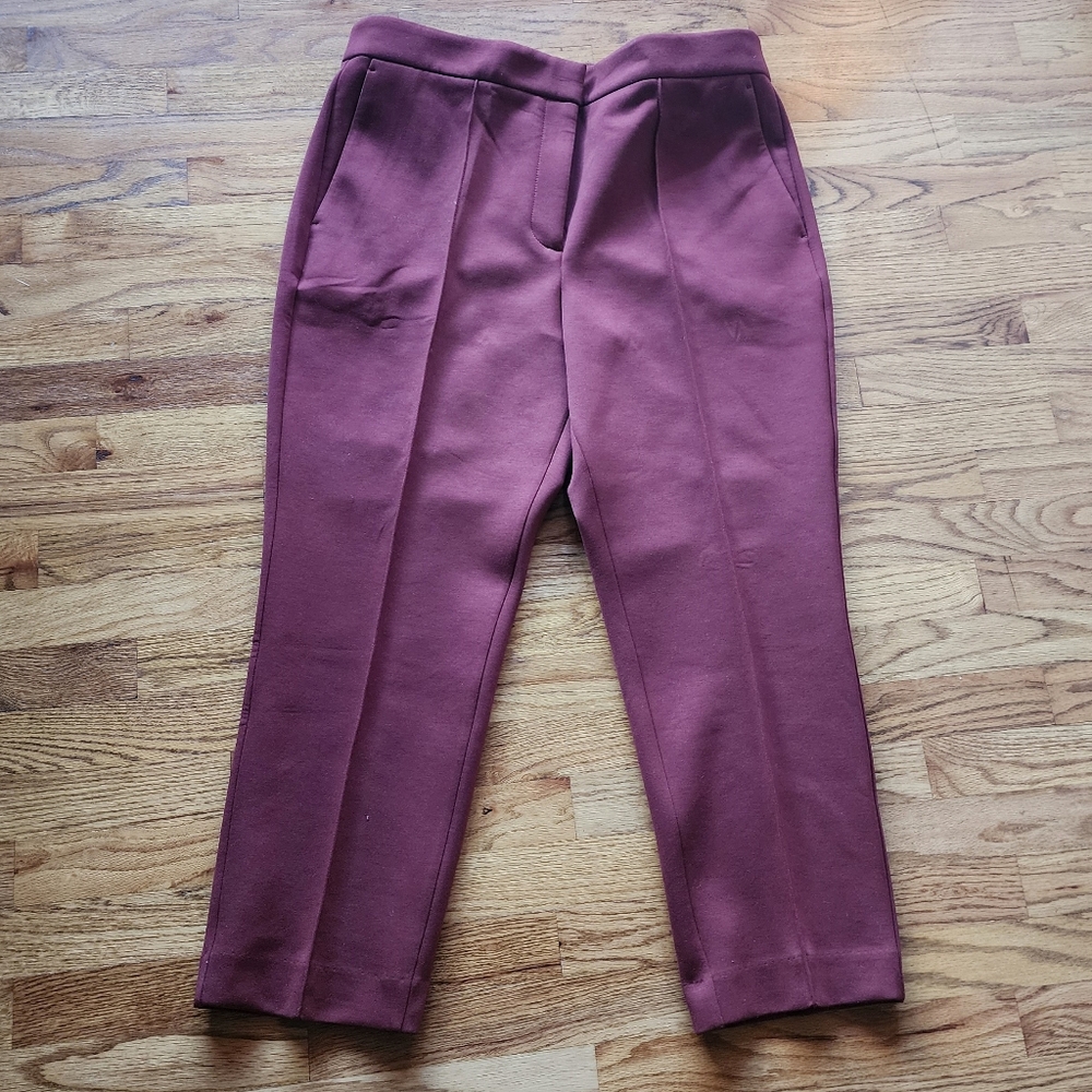 Ann Taylor Factory Brick Red Pants 14p
